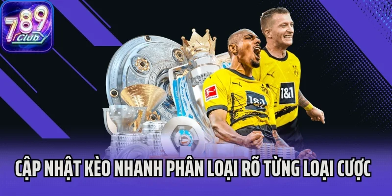 Cập nhật kèo nhanh phân loại rõ từng loại cược